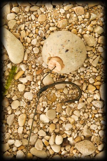 Riguri  - main11.jpg